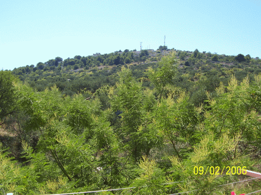 Click to enlarge Apartman5/100_1033.gif
